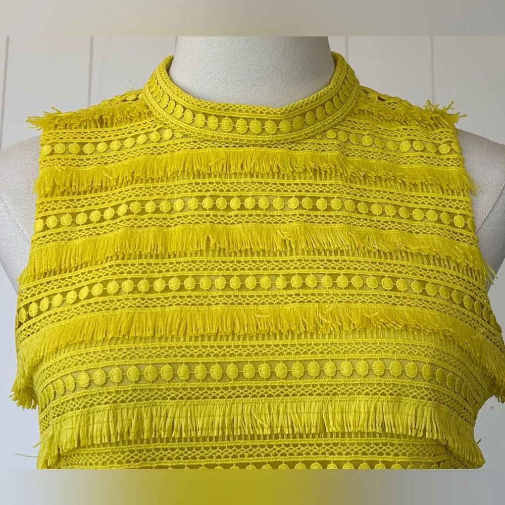J.Crew Women’s Shift Dress‎ Fringe & Lace Lined Size 4P